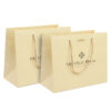 Custom Color Printed Gold Paper Gift Bag With Ribbon Handle