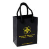 Custom Luxury Paper Gift Bags With Rope Handle Gold Logo