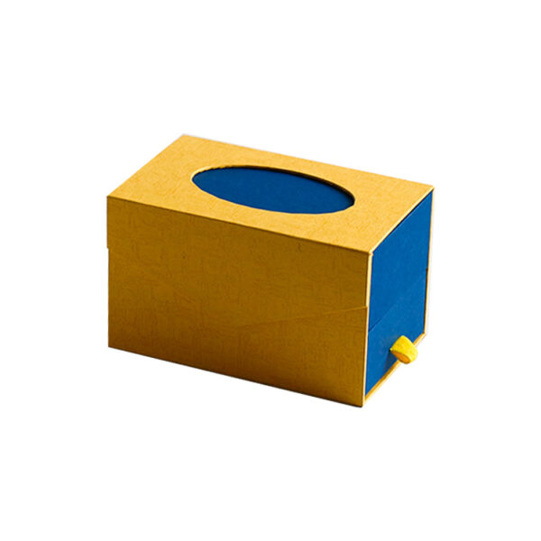 Boîte de luxe à tiroir coulissant double couche pour bijoux