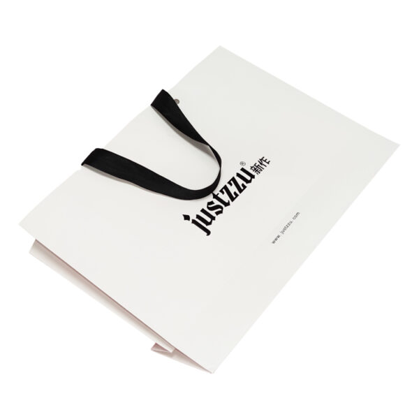 Matte White Luxury Gift Paper Bag With Silk Ribbon Handle Matte White Luxury Gift Paper Bag With Silk Ribbon Handle