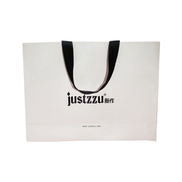 Matte White Luxury Gift Paper Bag With Silk Ribbon Handle Matte White Luxury Gift Paper Bag With Silk Ribbon Handle