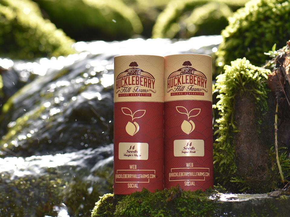 Sustainable Packaging Gift Box