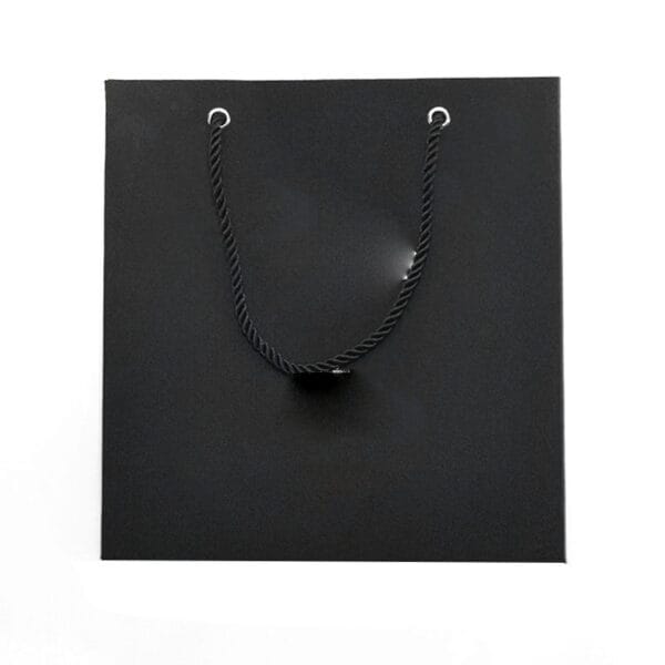 Custom Printed Luxury Paper Gift Bags with Rope Handles