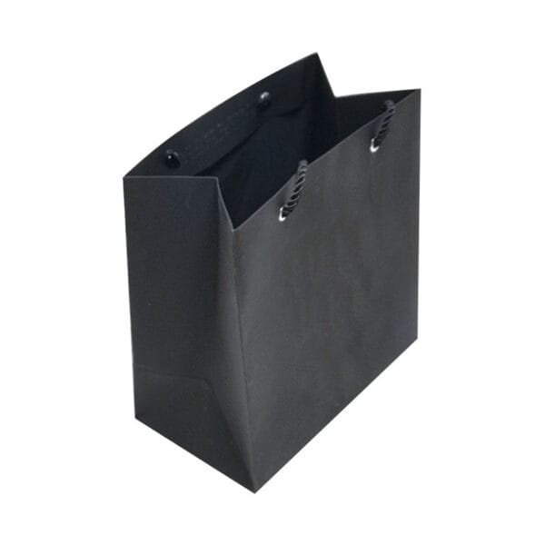 Custom Printed Luxury Paper Gift Bags with Rope Handles