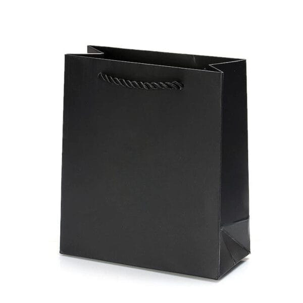 Custom Printed Luxury Paper Gift Bags with Rope Handles